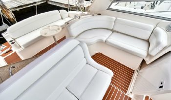 Rinker 15