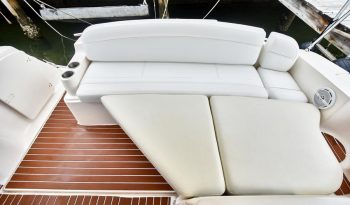 Rinker 17