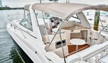 Rinker 3