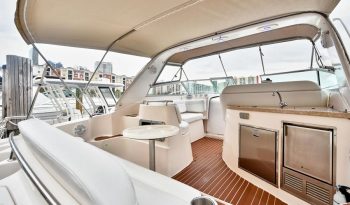 Rinker 4