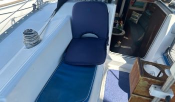 IMG_2782