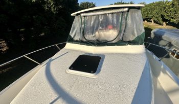 IMG_4834