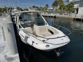 2019 Boston Whaler 270 Vantage