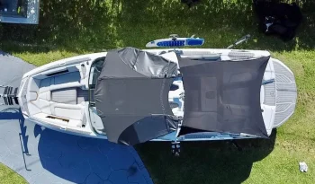 2020 Nautique 4