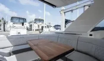 2019-sea-ray-slx-350-outboard-power-9958254-20250924150430004-4