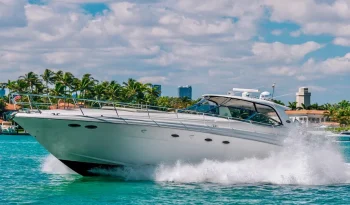 2002-sea-ray-sundancer-510-power-9998950-20251101152626752-4 (1)
