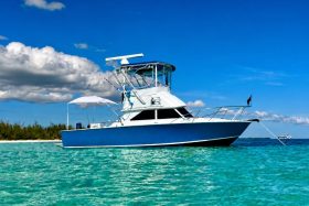 1975 Bertram 28 Flybridge