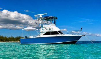 1975-bertram-28-flybridge-power-10360987-20261008111133210-1