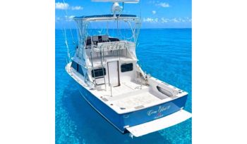 1975-bertram-28-flybridge-power-10360987-20261008111133469-2